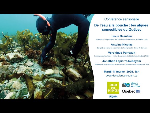 Conférence sensorielle: «De l’eau à la bouche – Les algues comestibles du Québec»