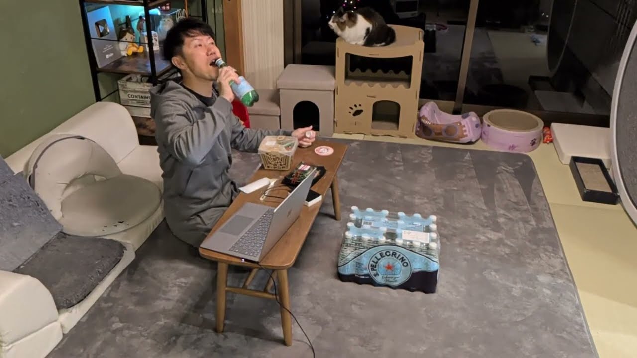 まもるくん不在の和室からＫ２ご飯ライブすーちゃんレオ