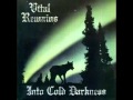 Vital Remains - Countess Bathory (Venom Cover)