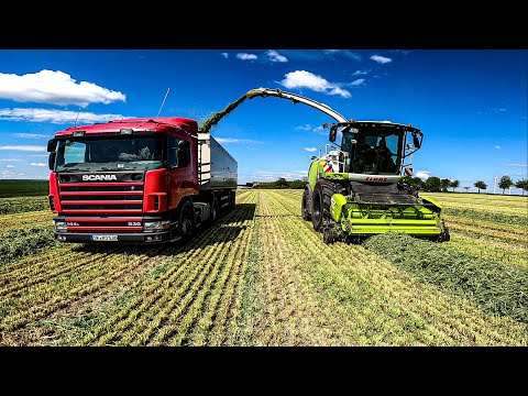 CLASS JAGUAR 970 mit 300er Pick up Gerste Häckseln / ROHLFING Agrardienste Mai 2021 4k UHD