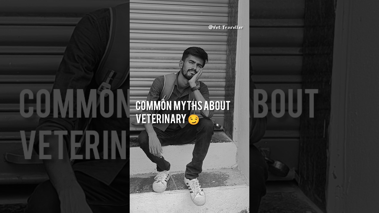 Common Myths about Veterinary life 😏 #shorts #neet #vet #veterinary #veteran #neet2023