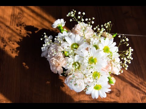 Степан  📷Фото & Відео📷, відео 13