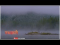 Aadhir Man Zale Song WhatsApp Status अधिर मन झाले Marathi Status