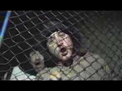 Promo 'Zona de Lucru' (VIDEO)