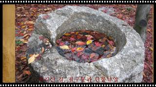 가을 날 모습들(Music: Amy sky- Soledad)