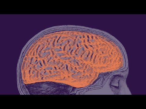 INTO THE LIGHT Meaningful Recovery From Psychosis