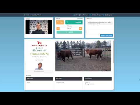 Remate Martin y Alonso