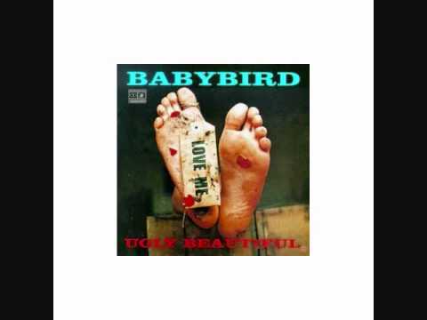 Babybird - Too Handsome To Be Homeless