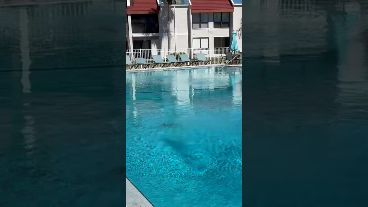 Watch Video on YouTube