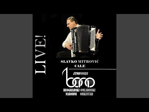Otkako sam ja devojce - Se kacilo (feat. Etnofonija) (Live)