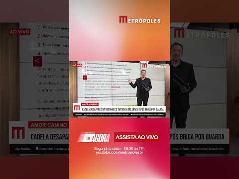 Cadela desaparecida reconhece tutor em delegacia