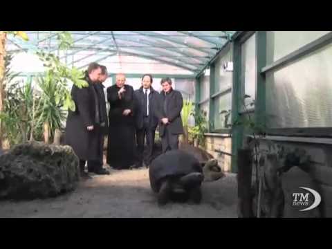 ROME: A NEW HOME FOR GIANT TORTOISES AT BIOPARCO