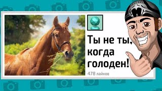 ЗАТРАЛЕНО! ► Выжить в интернете в JackBox Party Pack 4