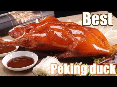 download lagu mp3 mp4 Shanghai Duck, download lagu Shanghai Duck gratis, unduh video klip Shanghai Duck