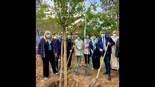 Madre Terra – 17/2020 – 20° Festa degli Alberi nelle Scuole