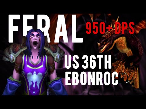 950+ DPS Feral Druid - US 36th Ebonroc | WoW Classic