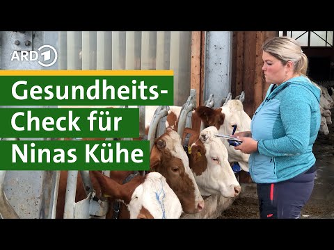 Keime in der Milch? Gesundheitscheck für Kühe von Bäuerin Nina - Hofgeschichten #8 | Unser Land | BR