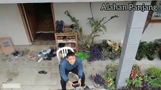 preview picture of video 'Alahan Panjang'