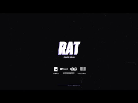 [FREE] Rich Dunk x Stunna 4 Vegas Type Beat - RAT | Prod. by James Gold