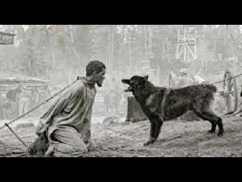 Tentativa de Liberdade: A Jornada de Peter na Escravidão