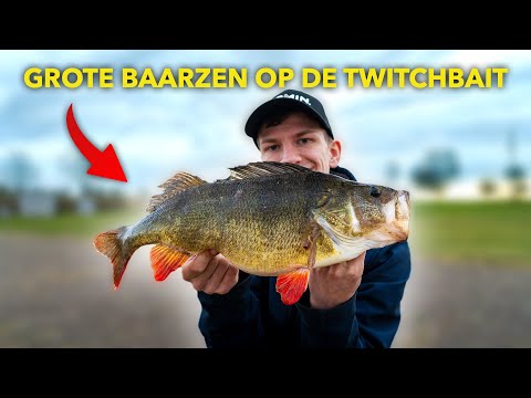 Vissen op GROTE baars met twitchbaits in de winter!!