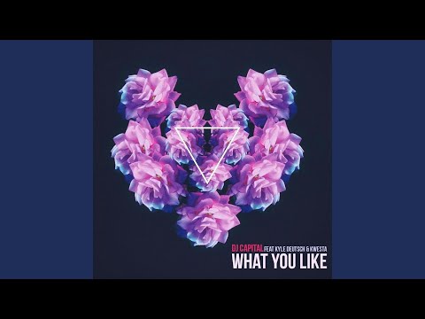 What You Like (feat. Kwesta & Kyle Deutsch)