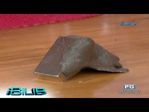 iBilib: Monster-eating magnet