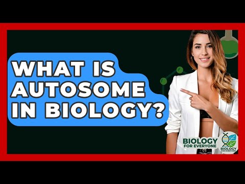 What Is Autosome In Biology? - Biology For Everyone