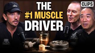 Alan Aragon & Brad Schoenfeld: The Science of Muscle Growth Simplified | EP#406