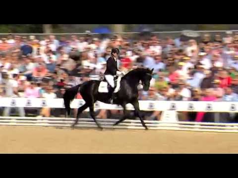 Bundeschampion 2014 - Vierjährige Reitpferde (Stuten und Wallache): Zikade von Singolo - Tambour