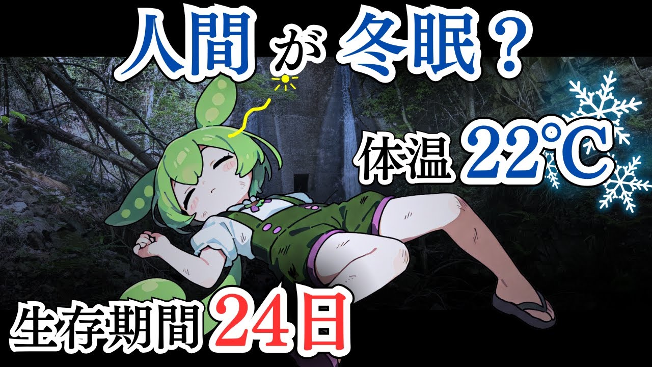 観光気分から一転！切符を無くして極限のサバイバルに――六甲山遭難事故2006【#ずんだもんが遭難】