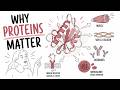Protein Structure and Function – Overview