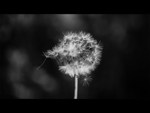 Andy G. Cohen - MUL / DIV (Full Album)