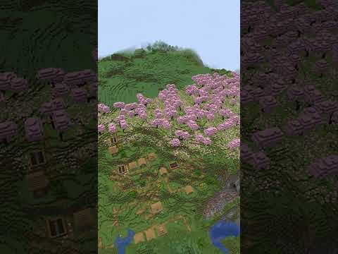EPIC MOUNTIAN CHERRY GROVE Minecraft Seeds for 1.20