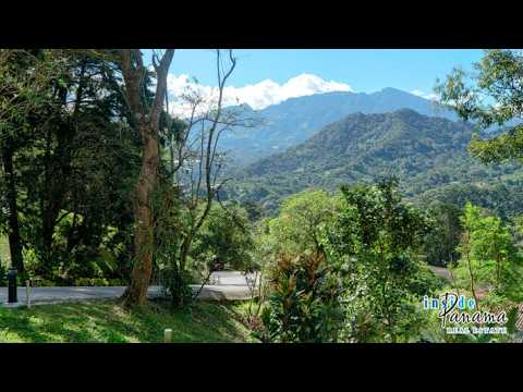 Residential Lot For Sale In Palo Alto Boquete Chiriqui Panama SSS3101