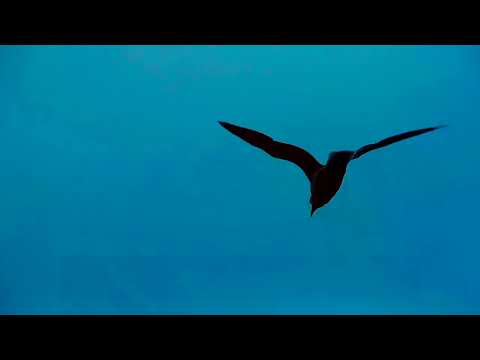 Karaoke și versuri Pensiunea Casa Beatrice 2 Mai