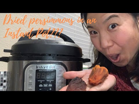 Can You Make Hoshigaki Dried Persimmons in the Dehydrator?