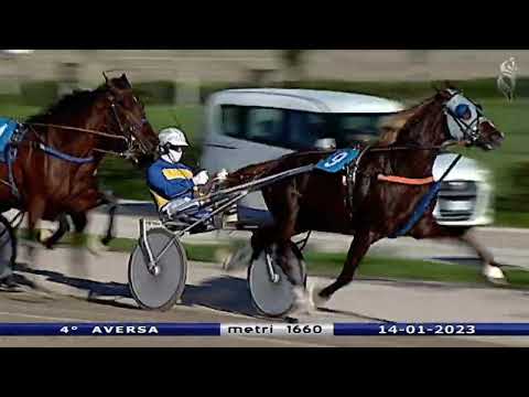 Aversa trotto 14 Gennaio 2023 - 4° Corsa