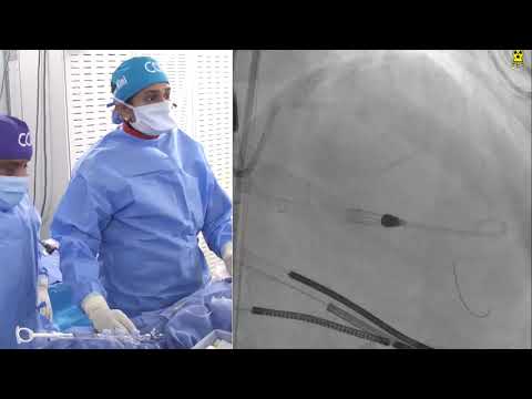 Sun Pharma (Dec 2020)