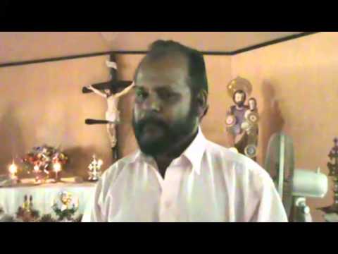 Business   Babichan Testimony 20130724