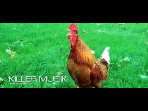 Dj Manu Killer - La Danse Du Coq ( Clip Officiel )