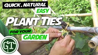 Quick, Natural & Easy Plant Ties for Your Garden - Tieing Cucumber Vine