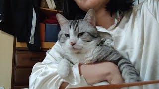 【ゆるいダイエット】2年かけて88kgから55.4kgまで痩せた話（マイナス33kg）