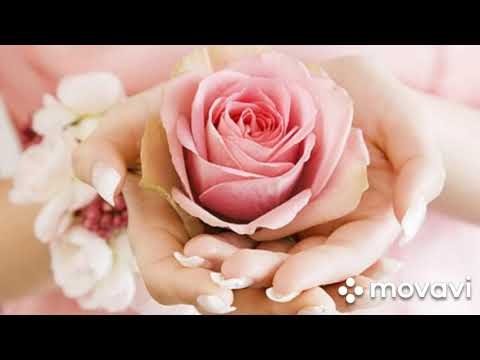 2Hounds & Timmy Commerford - Head & Heart