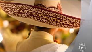 Chelo - Si ya te vas