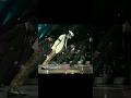 Michael Jackson Michaeljackson Smooth Criminal Shortvideo Edit Edit