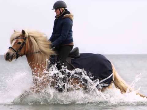 Strandausflug 19 03 2016