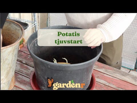 Potato thief start - Gardenhacks by GardenR
