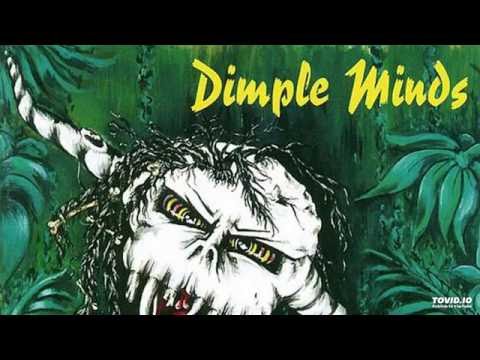 Dimple Minds - Denen man nicht vergibt