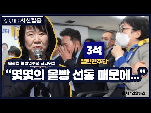 "열린민주당의 앞길? 민주당의 판단 따라" - 손혜원